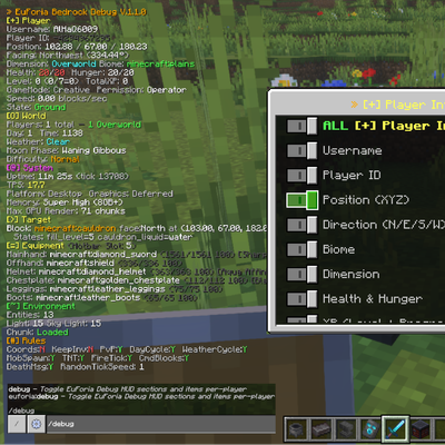 EuForia Bedrock Debug