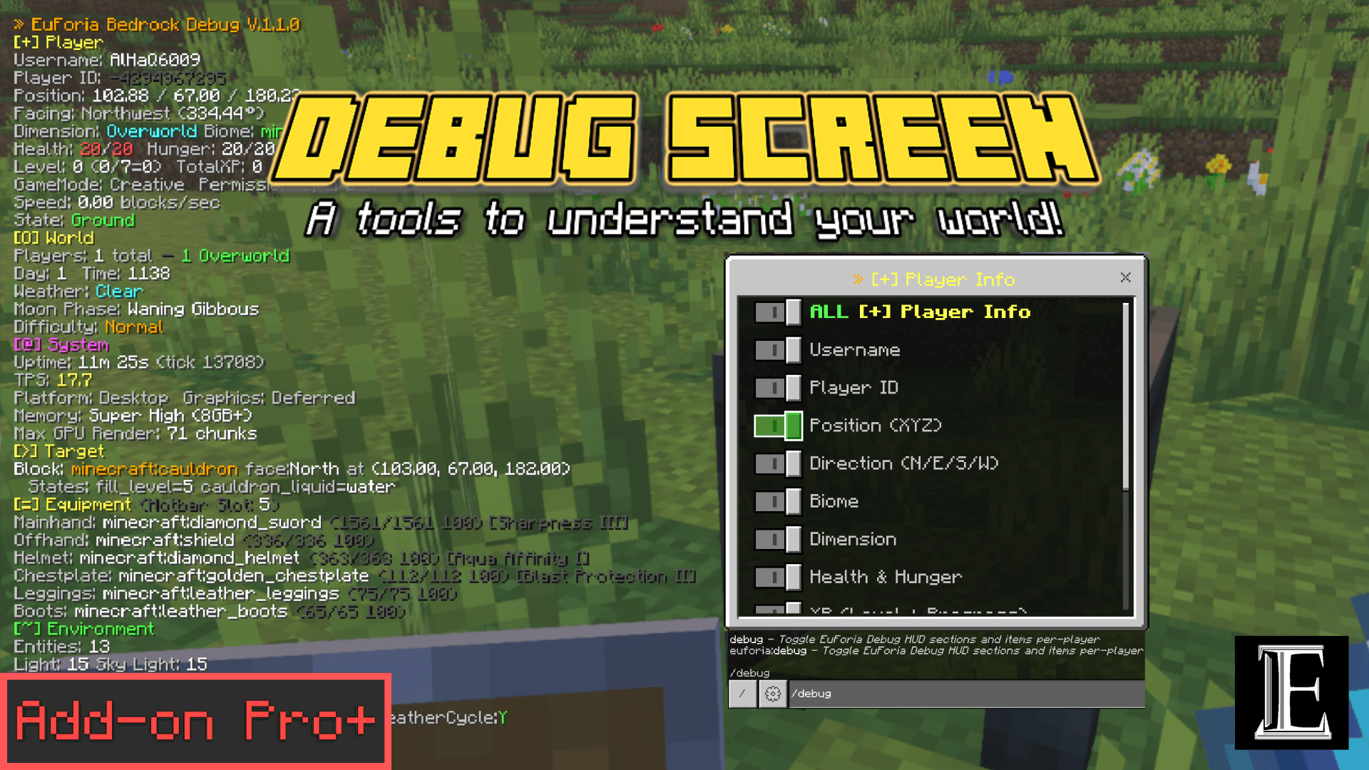 EuForia Bedrock Debug — screenshot 1