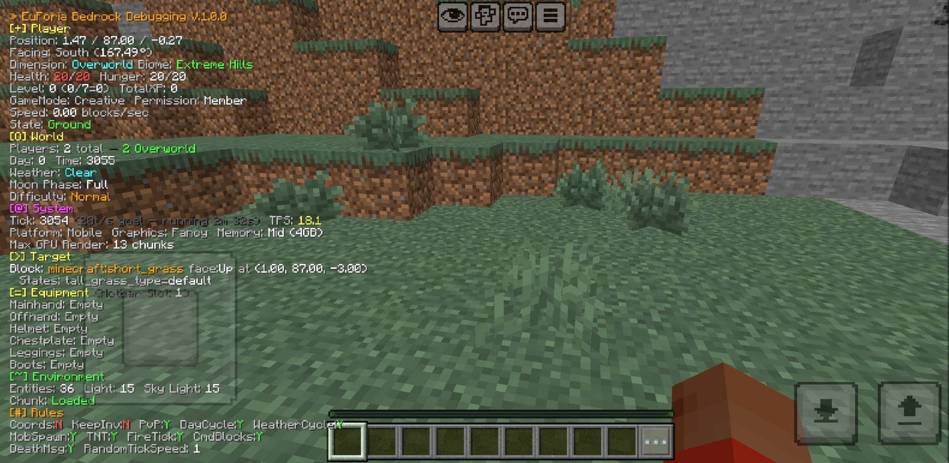 EuForia Bedrock Debug — screenshot 2