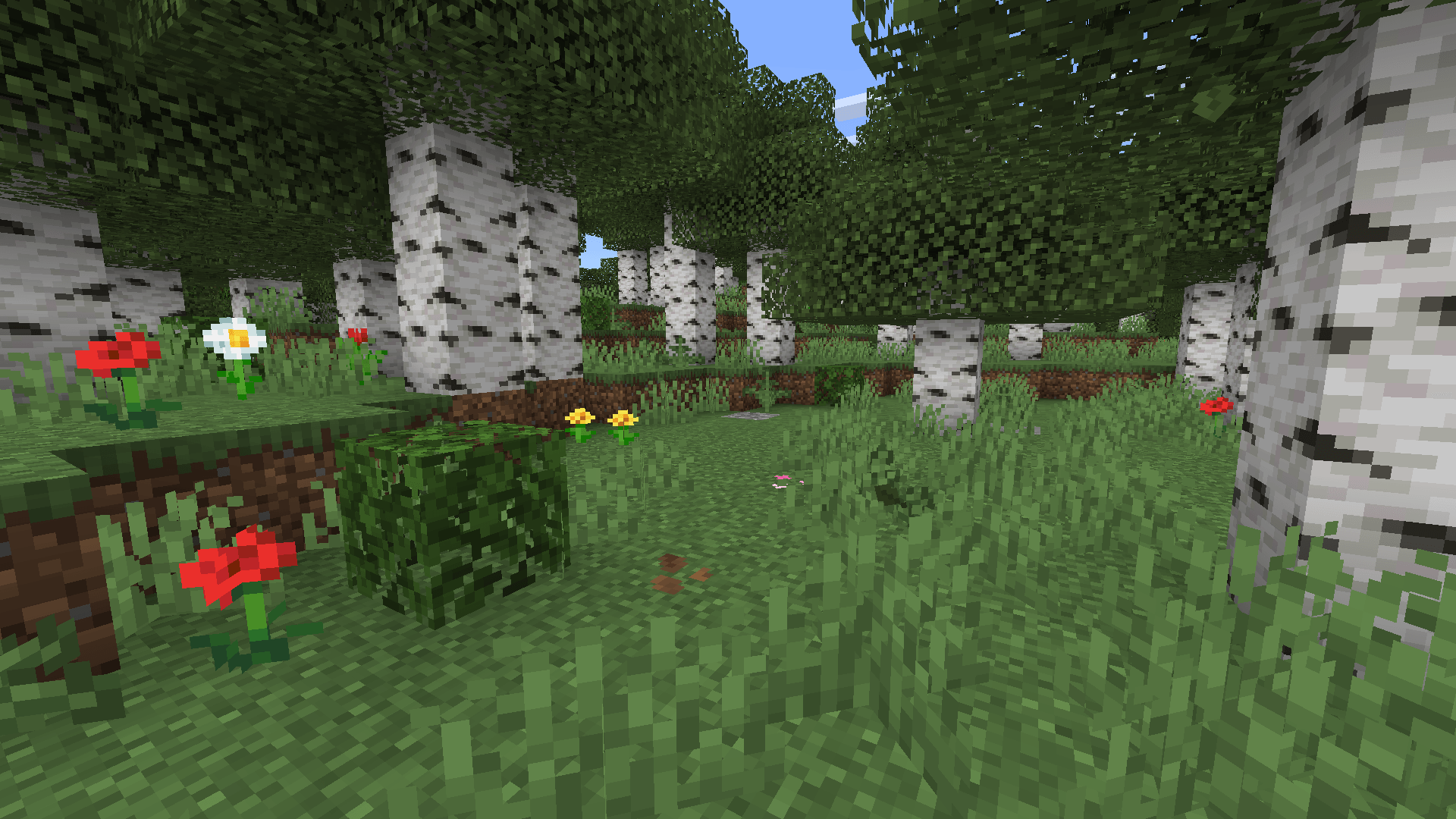 Better Vegetation  — screenshot 7