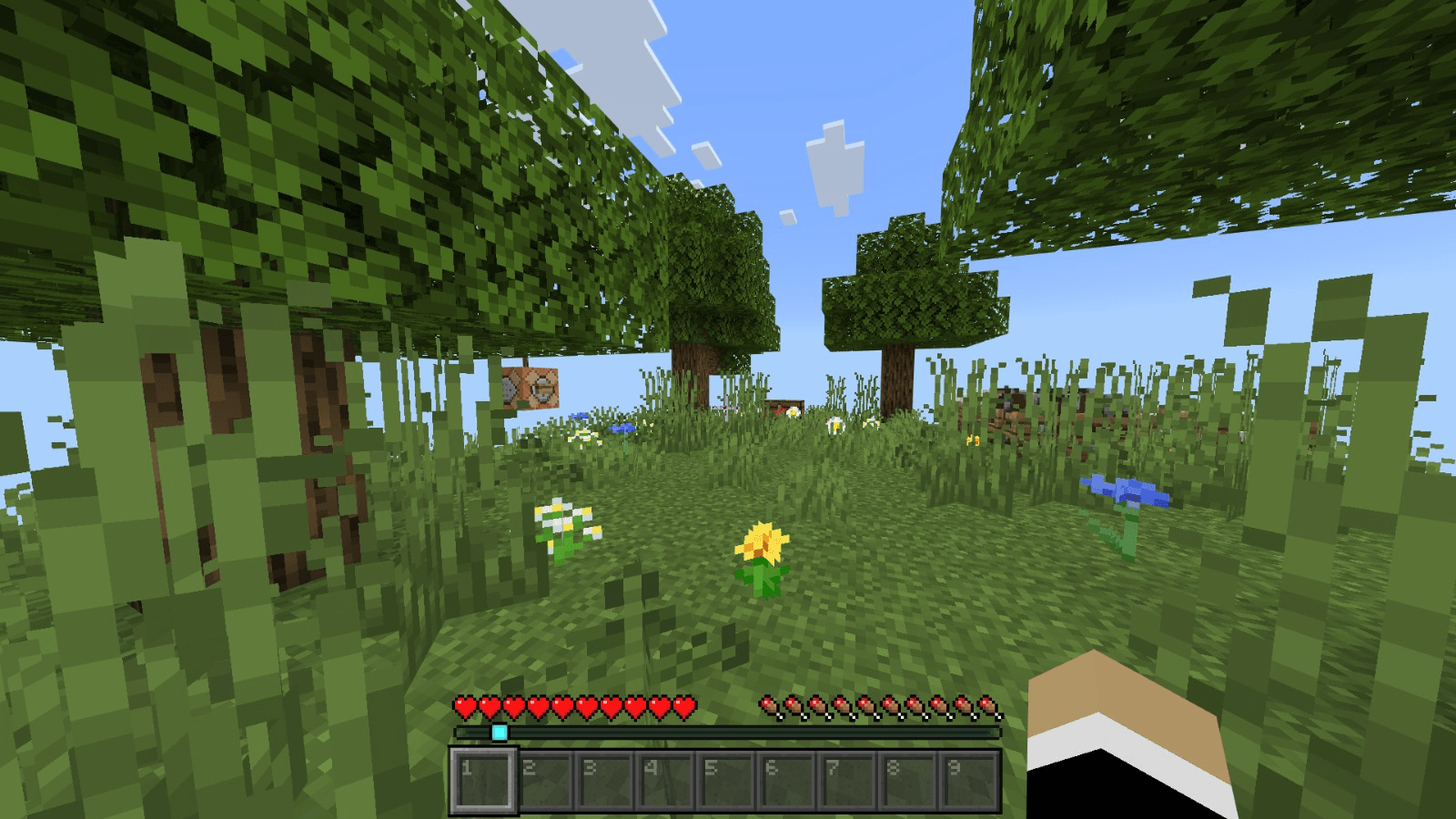 One random chunk — screenshot 1