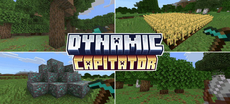 Dynamic Capitator — screenshot 1