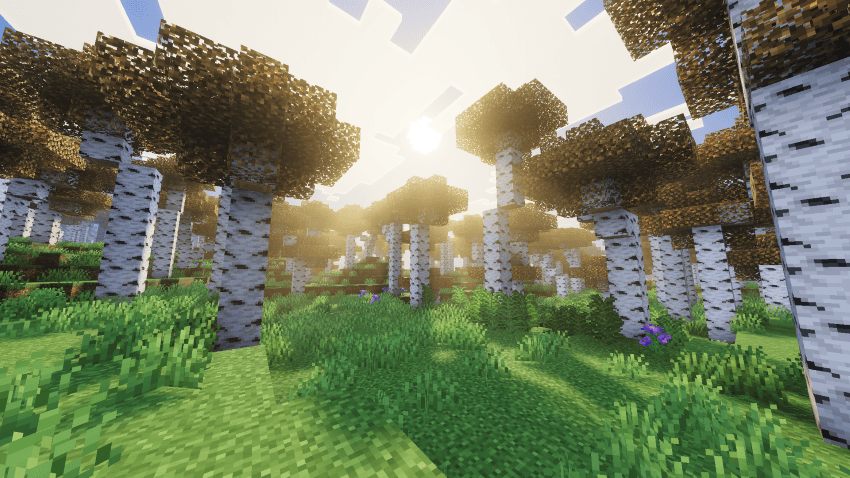 Cyrus Shaders — screenshot 6