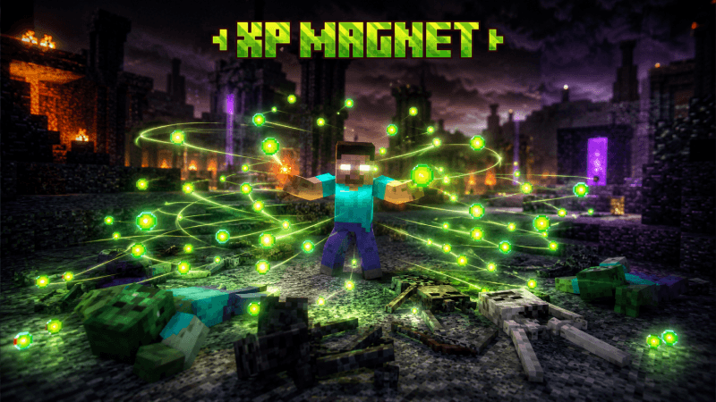 XP magnet (eu) — screenshot 1