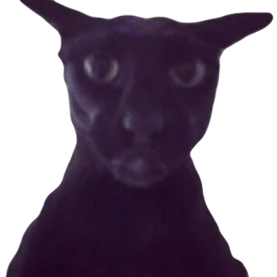 Larry cat totem of undying
