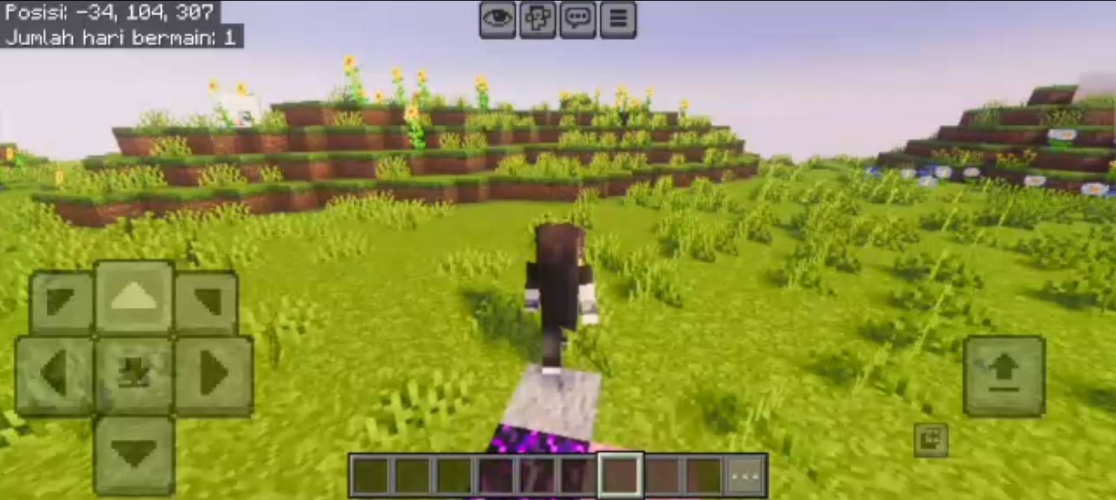 Random Steps — screenshot 2