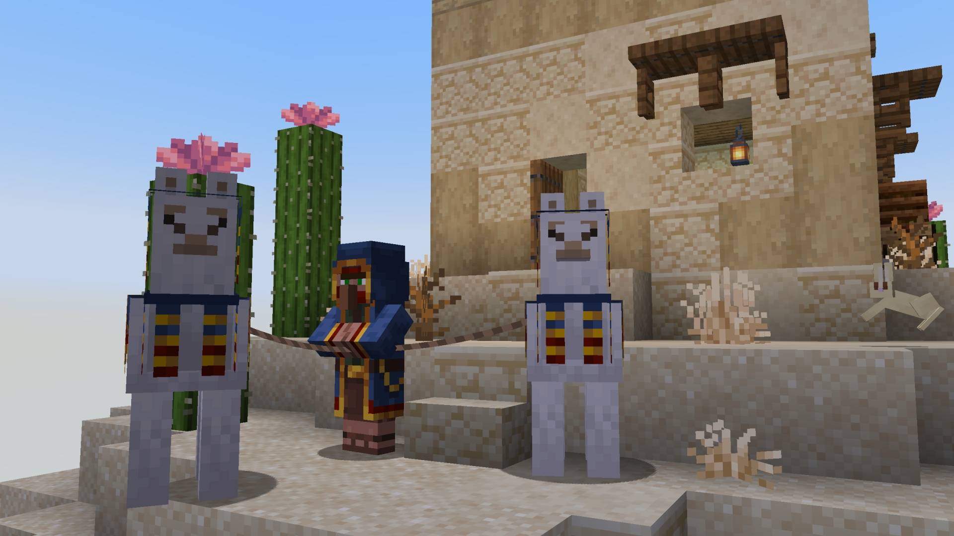 Sky Challenge Classics — screenshot 4