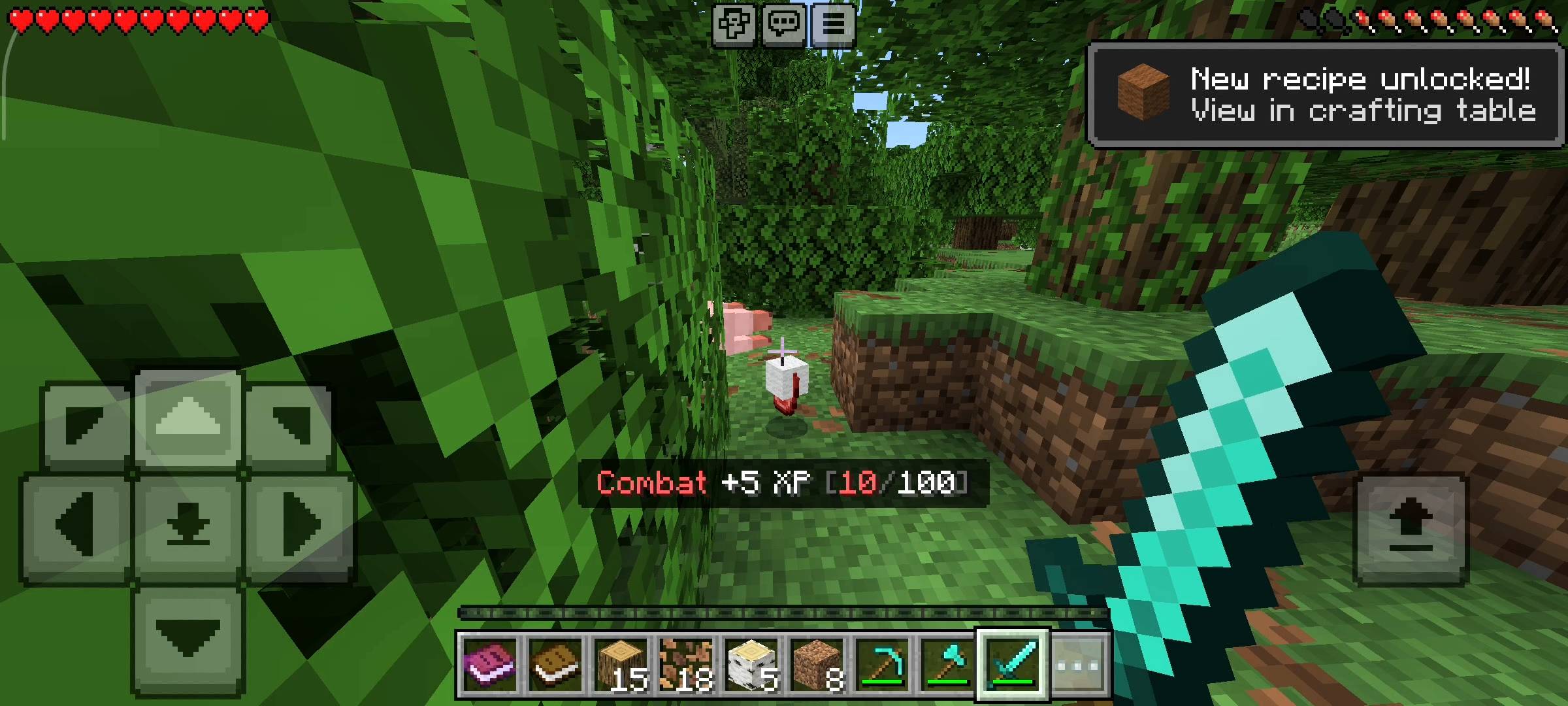 NovaCraft RPG Skills — screenshot 5