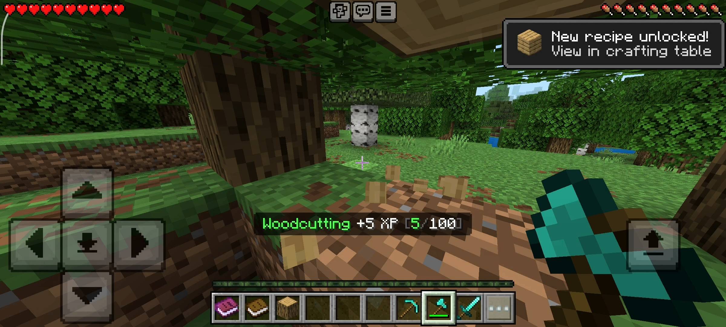 NovaCraft RPG Skills — screenshot 8