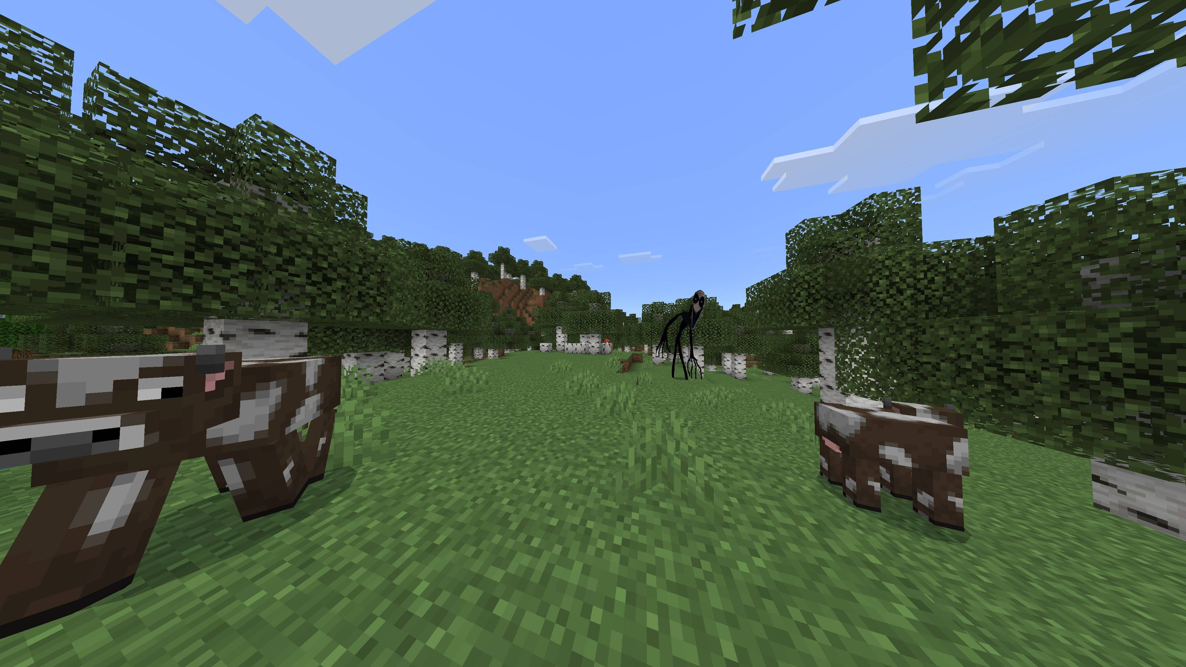 DNGO (a.k.a Do Not Go Outside) (twixxel's stalkers) (horror) (DontCry) — screenshot 1
