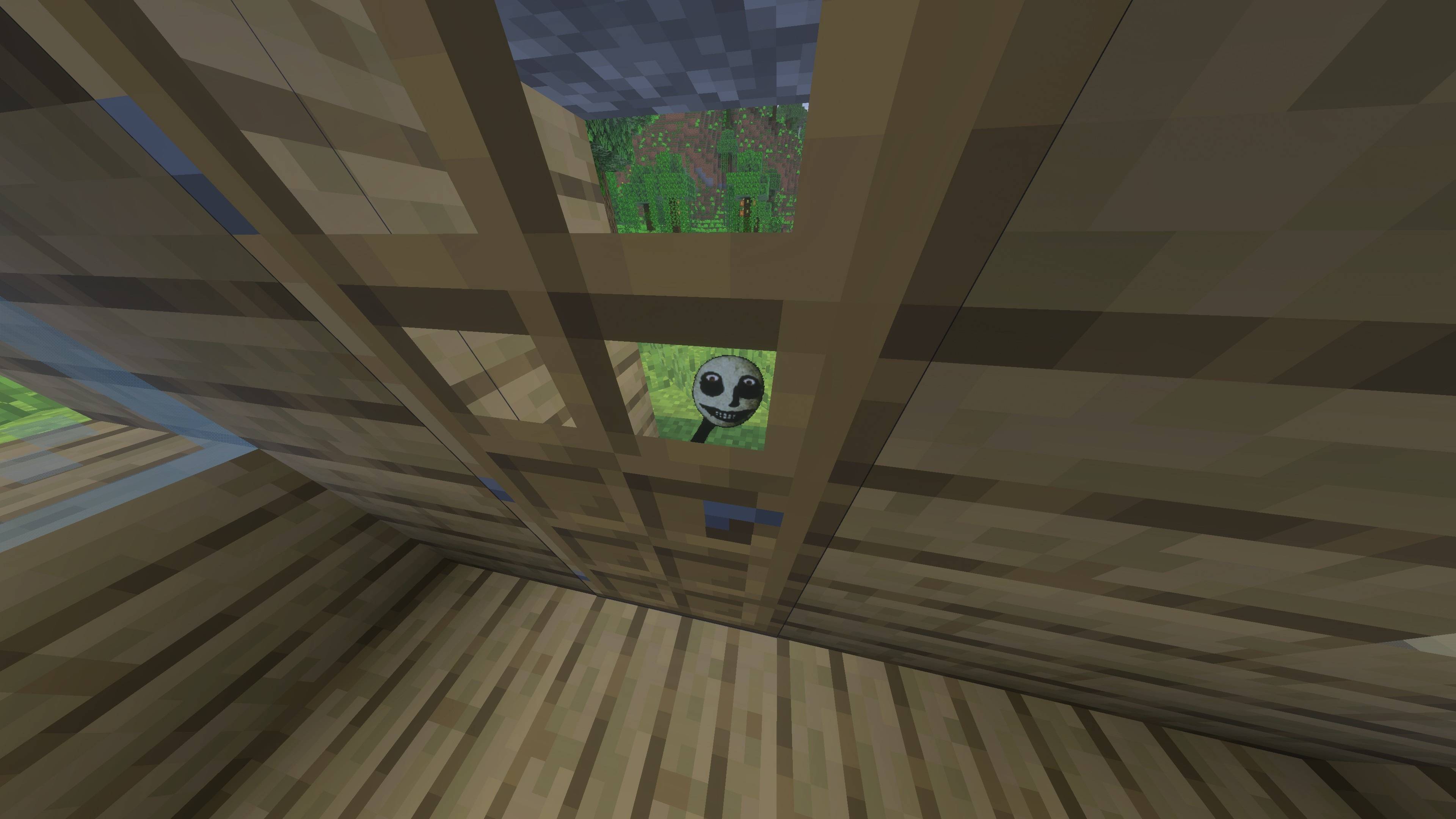 DNGO (a.k.a Do Not Go Outside) (twixxel's stalkers) (horror) (DontCry) — screenshot 2