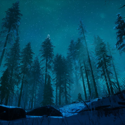 Animated Menu: Aurora Forest Night