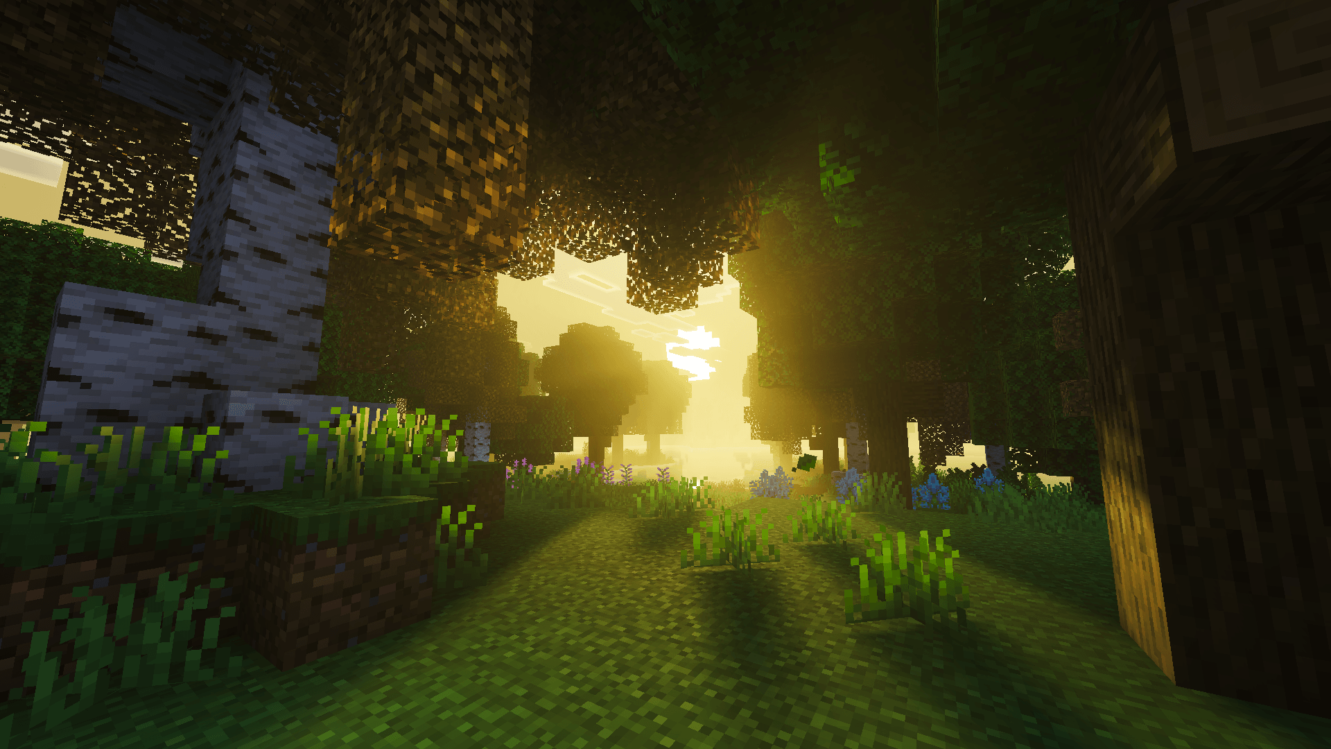 Solscape Shaders — screenshot 8