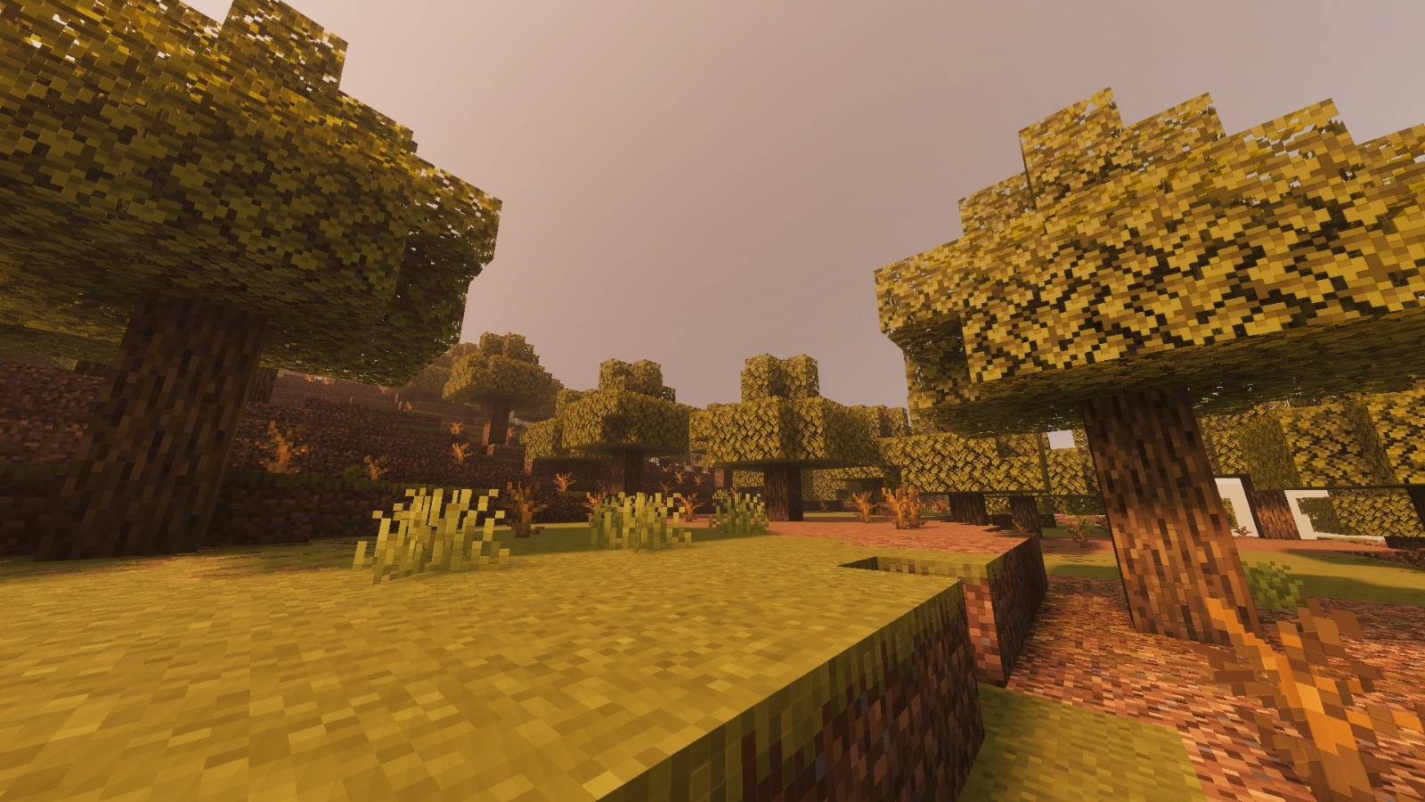 Archived Visuals — screenshot 8