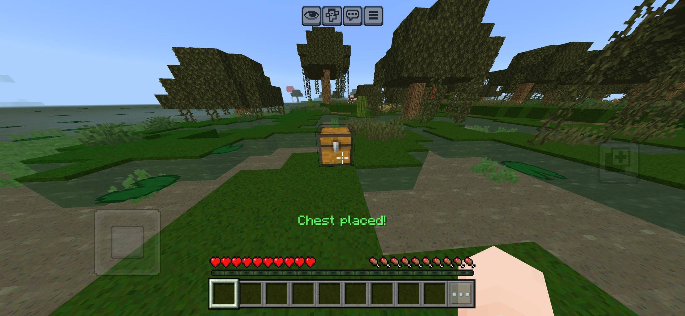 CHEST CARRIER — screenshot 2