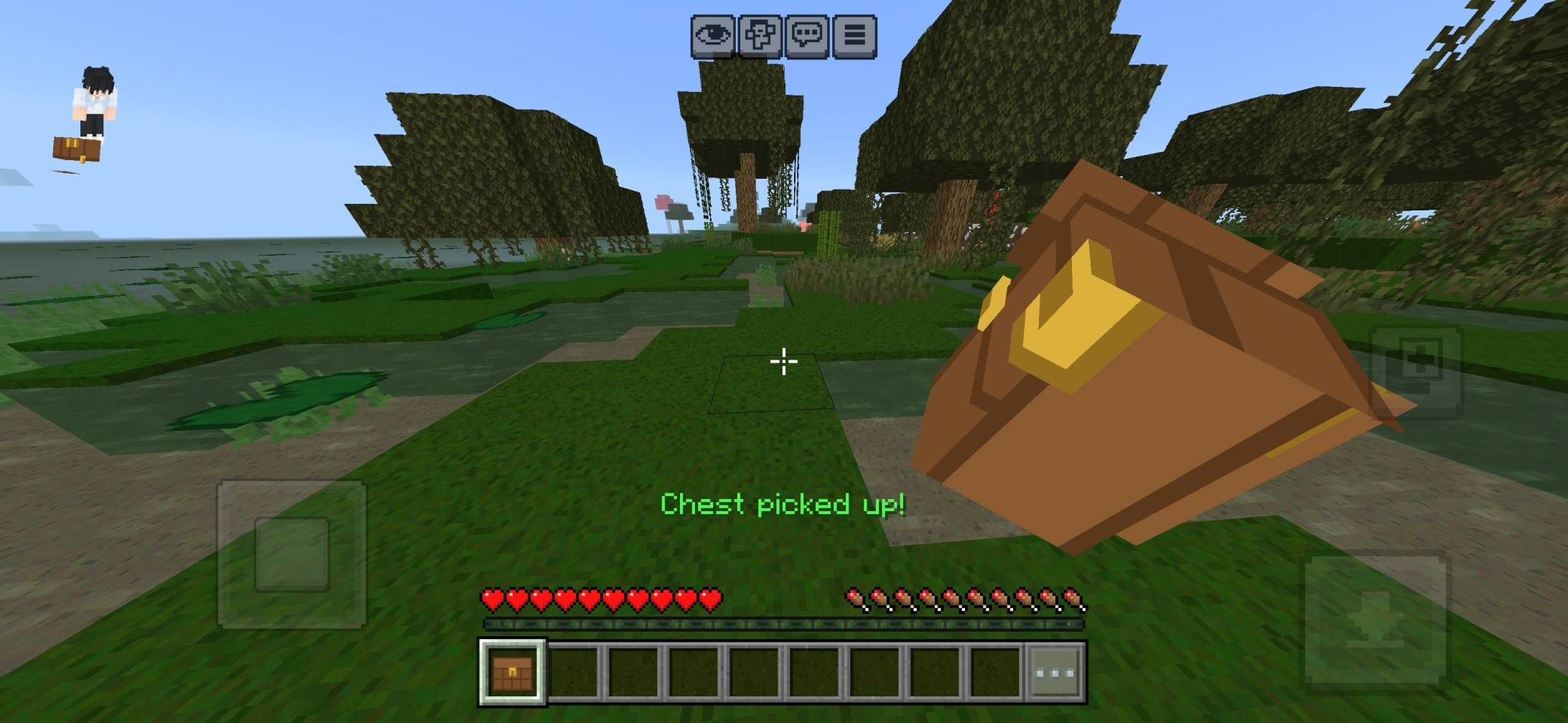 CHEST CARRIER — screenshot 3