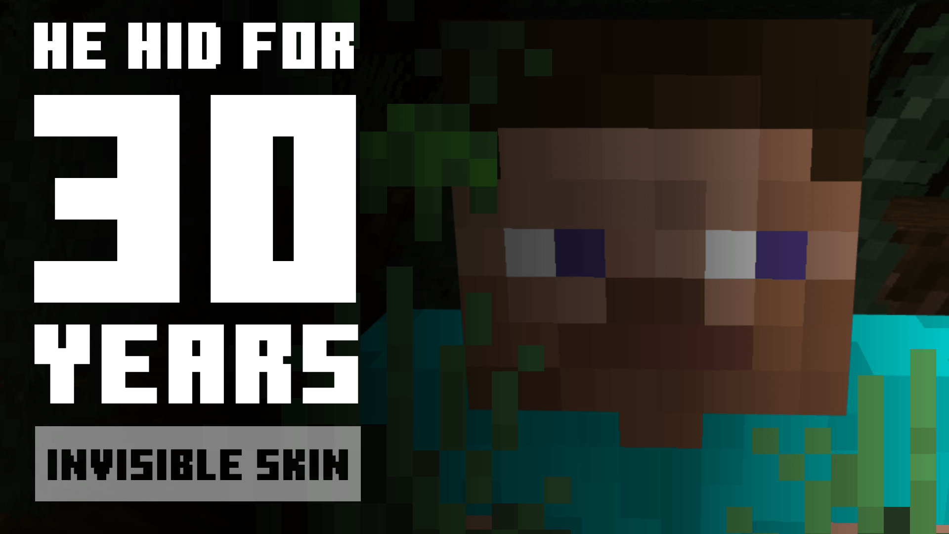 Invisible skins | hide player armor and items — screenshot 1
