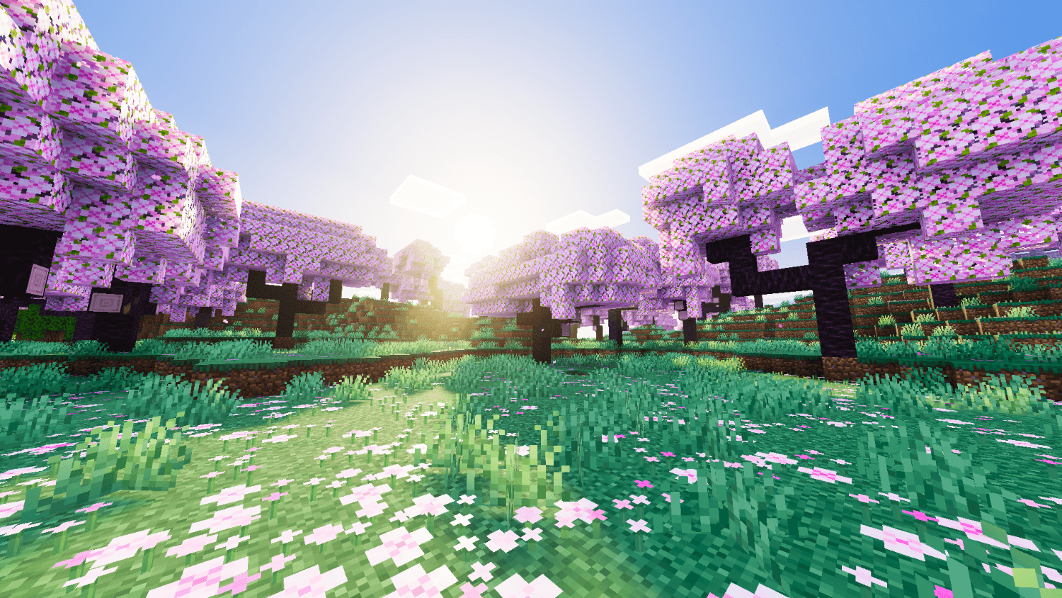 Beyond Visuals — screenshot 2