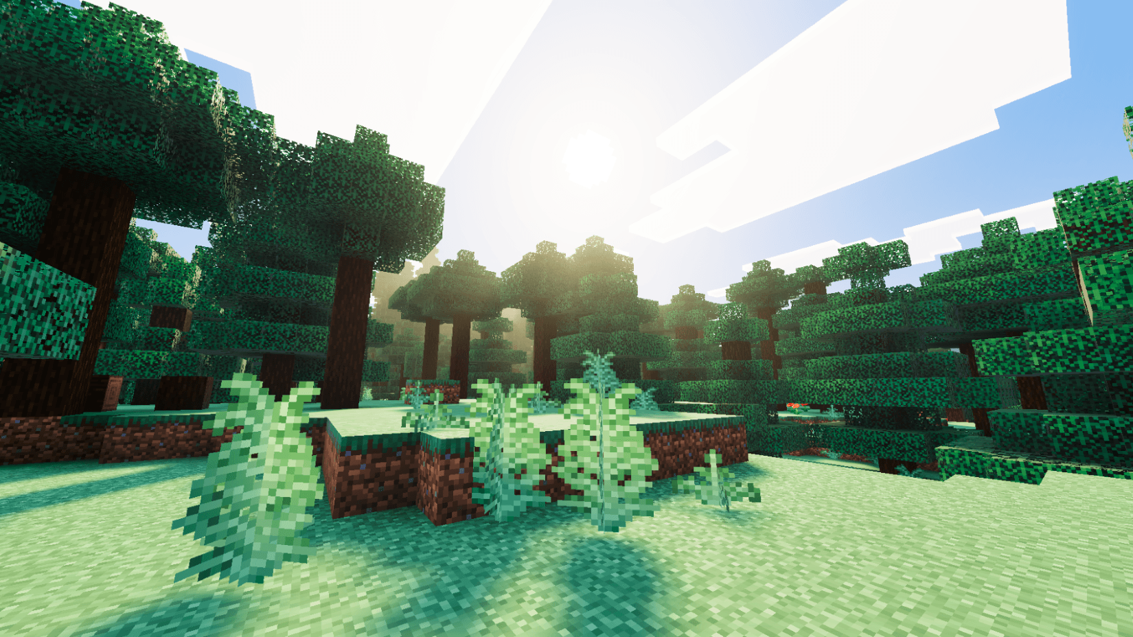 Beyond Visuals — screenshot 4