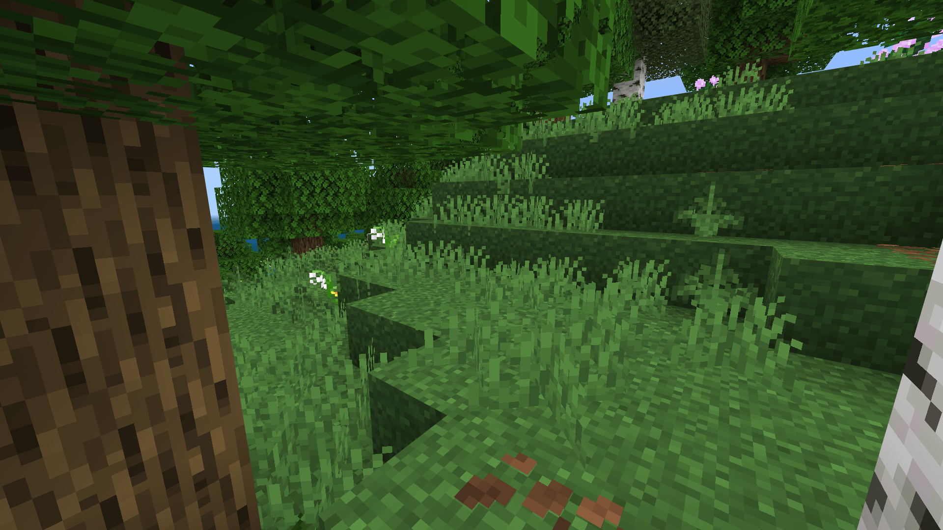 Full Grass | Fast Grass — screenshot 4