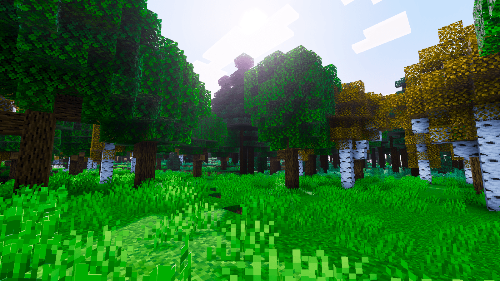 Reze visuals — screenshot 7