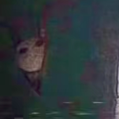 The Stalker Nightmare
