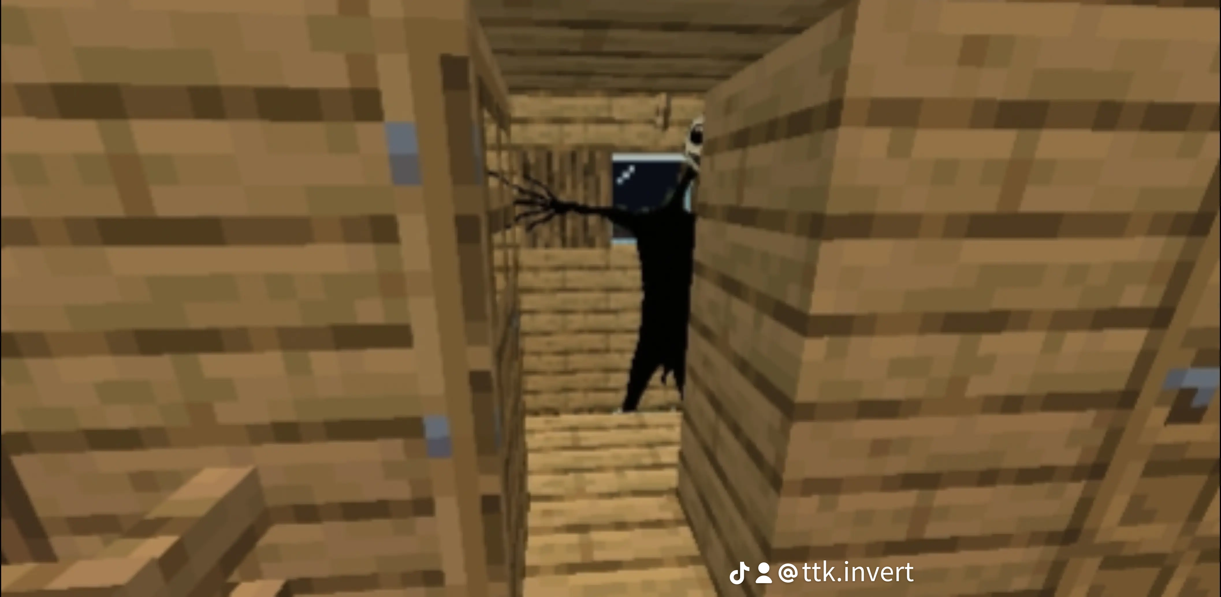 The Stalker Nightmare — screenshot 1