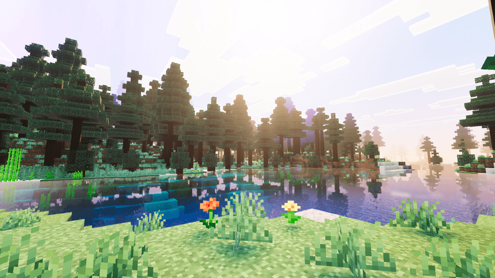 Basic Visuals — screenshot 3