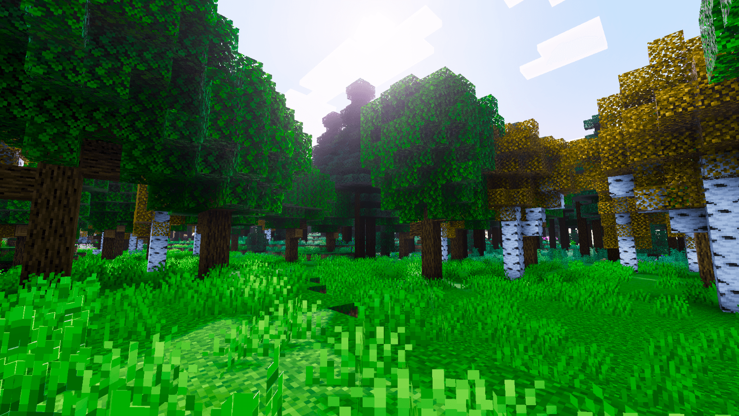 Reze Visuals — screenshot 6