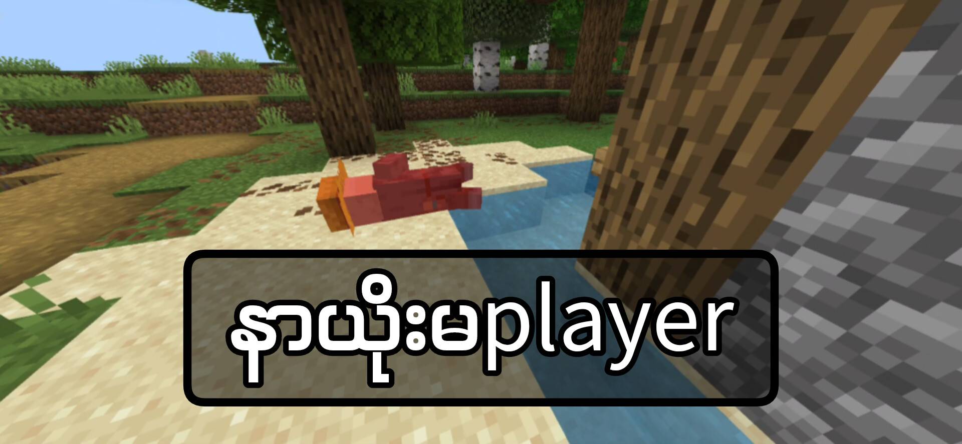 Talking Villager Myanmar — screenshot 6