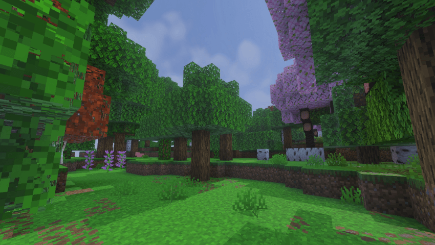 NatureHaze Visuals — screenshot 3