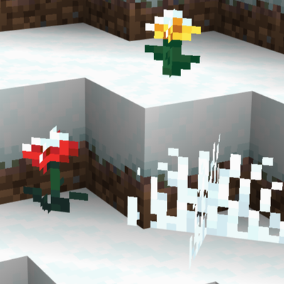 The Forgotten Winter