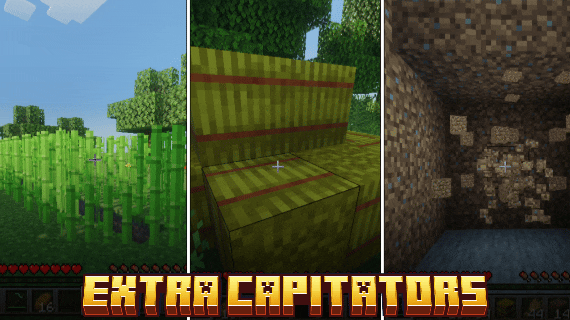 Extra Capitator — screenshot 1
