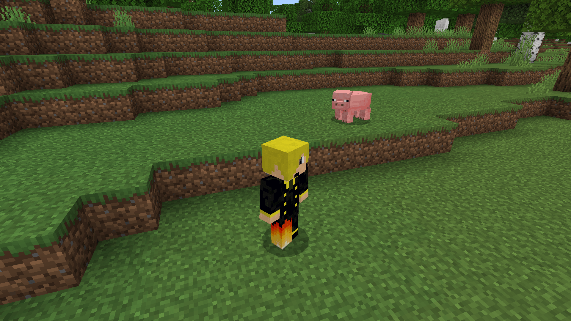 Free Look Texture Pack | Dynamic 3rd person view | free look — screenshot 3