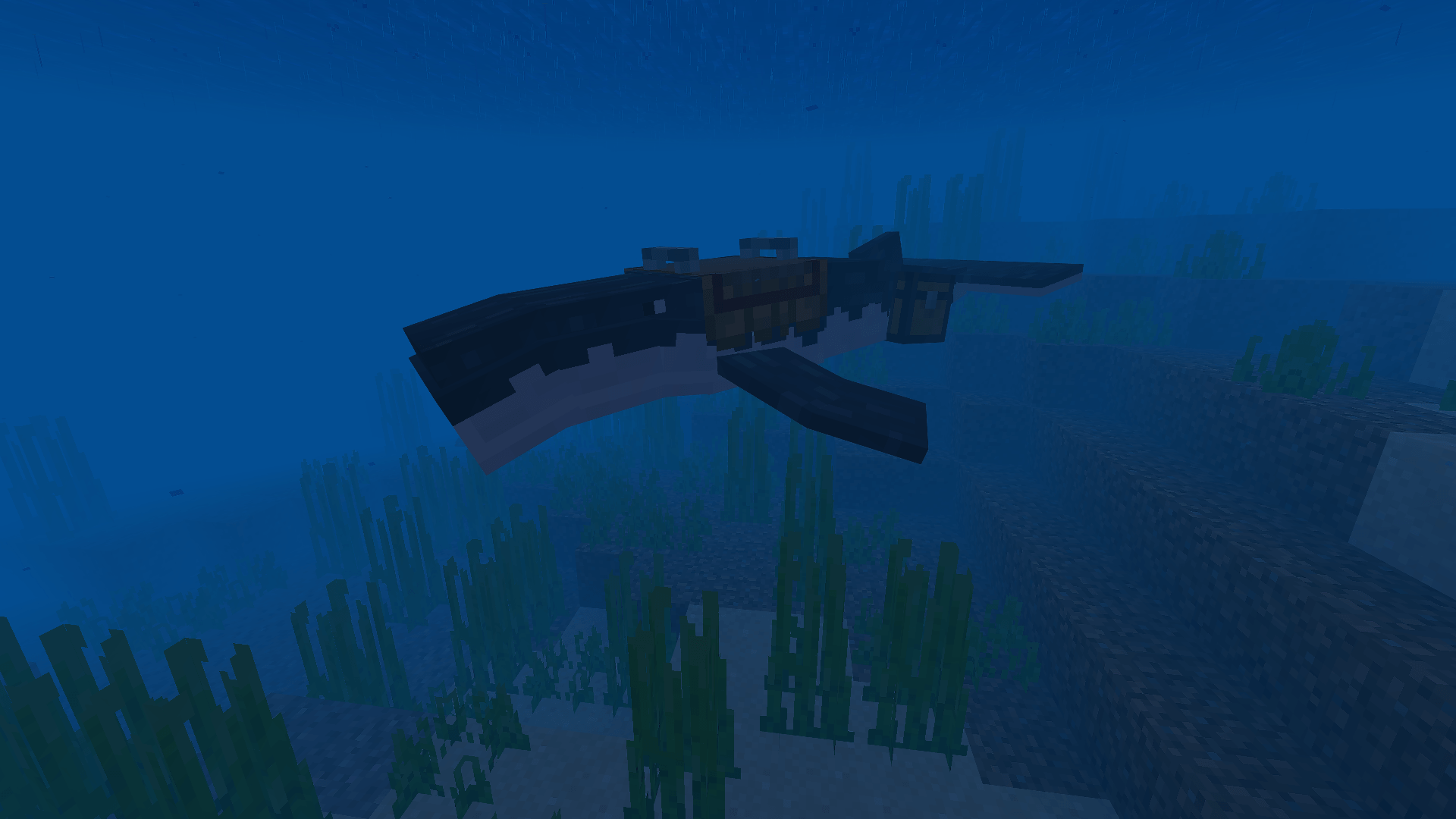Immersive Fauna Aquatic Update — screenshot 2