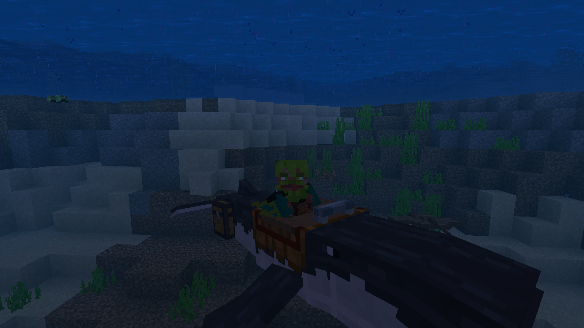 Immersive Fauna Aquatic Update — screenshot 5