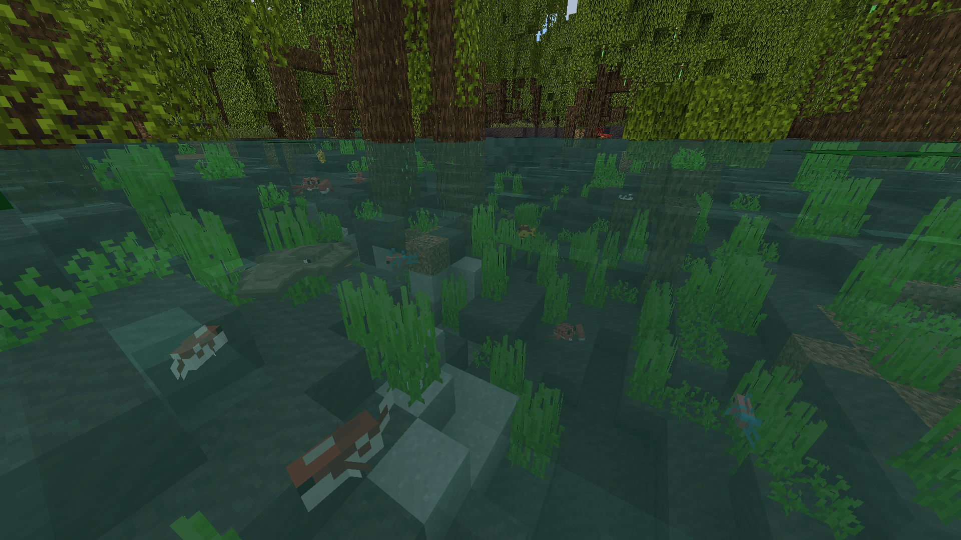 Immersive Fauna Aquatic Update — screenshot 6