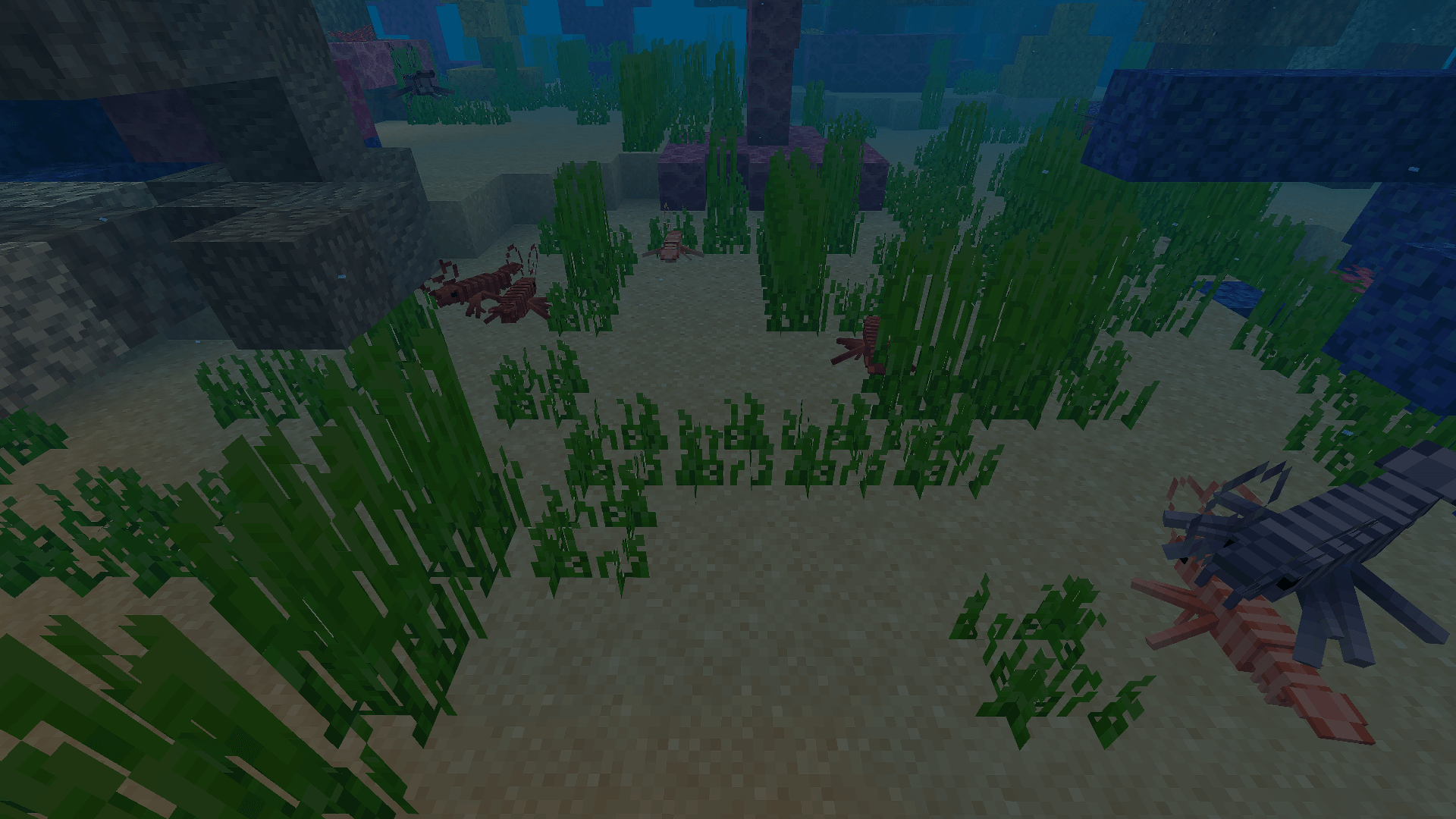 Immersive Fauna Aquatic Update — screenshot 7