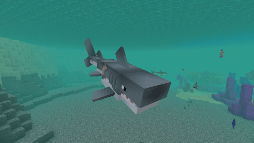Immersive Fauna Aquatic Update — screenshot 8