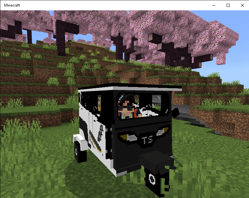 Mototaxis — screenshot 7