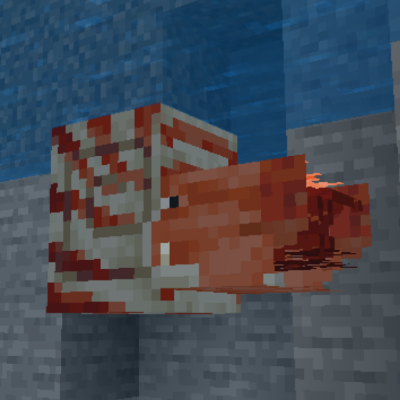 Nautilus Concept