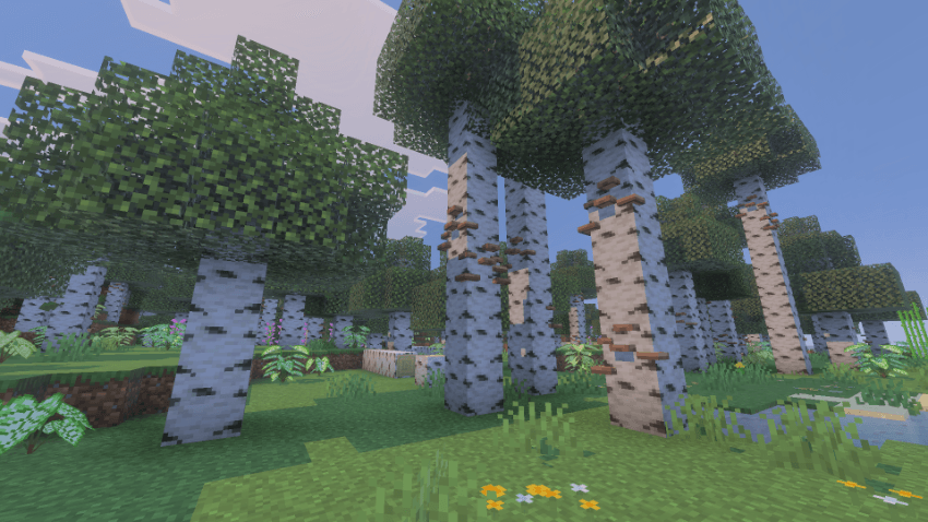 Immersive Flora — screenshot 3
