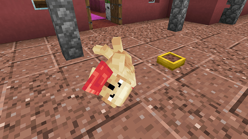 Owningfour cuter dog (survival friendly) — screenshot 5