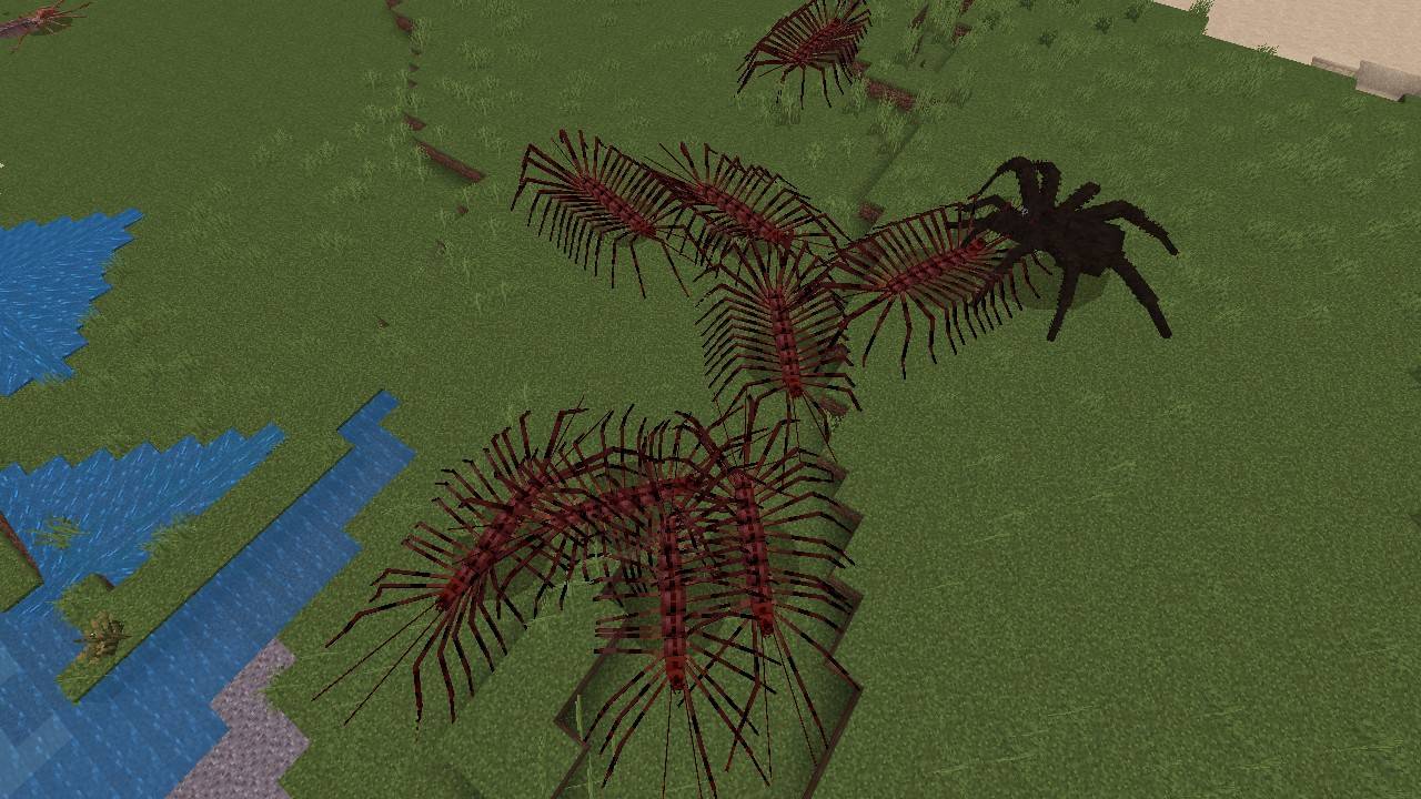 Arthropod Phobia Expansions — screenshot 3