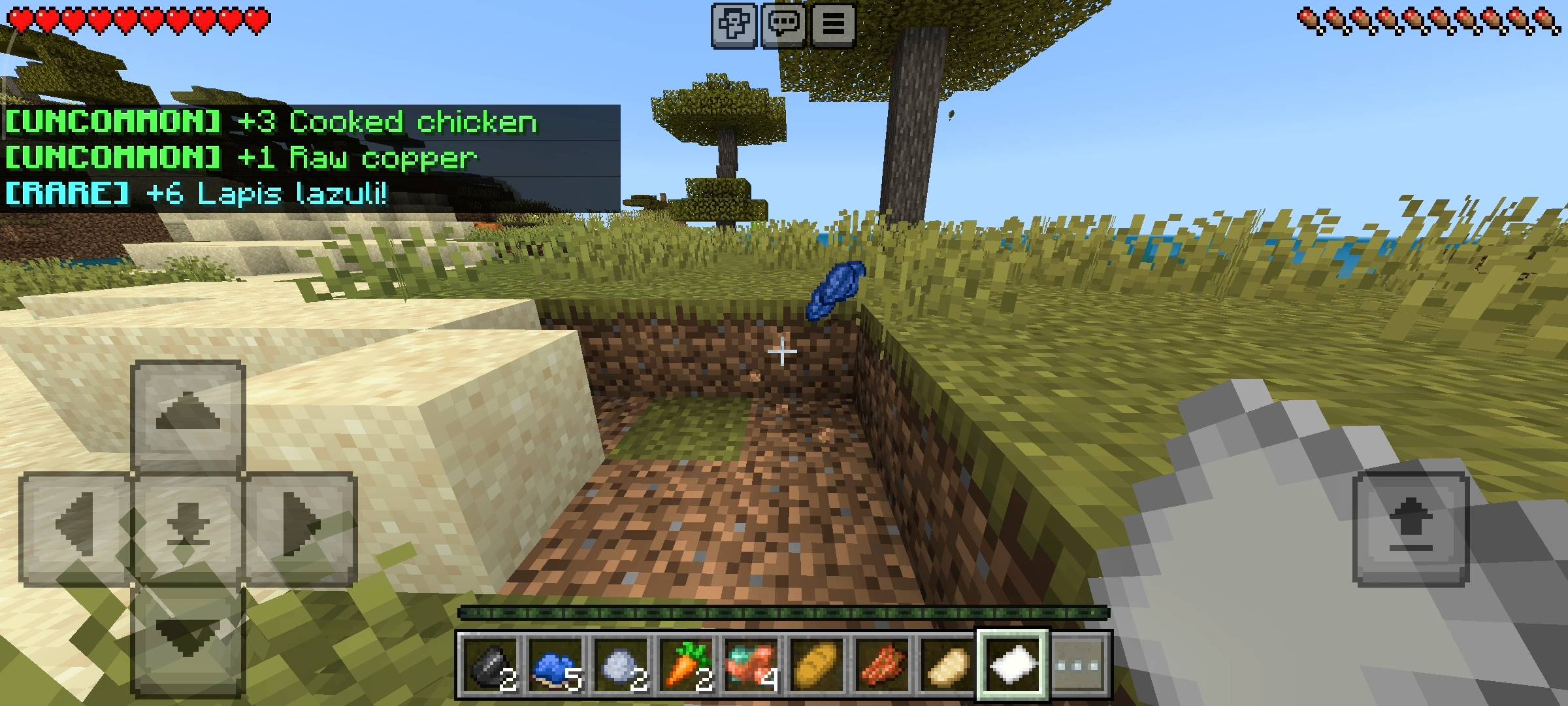 Lucky Dirt - Random Events — screenshot 3
