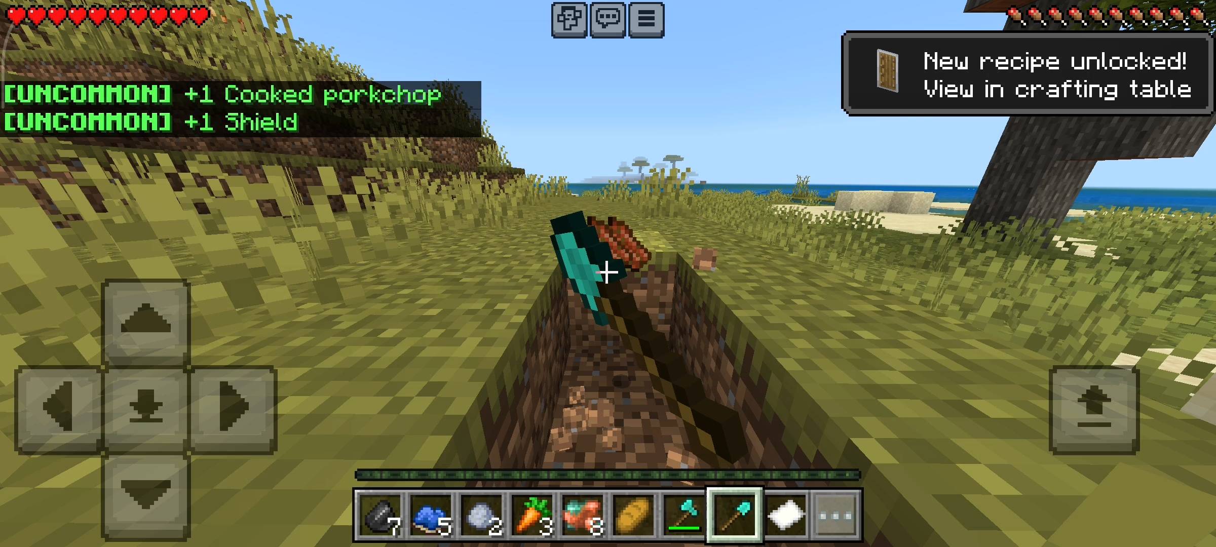 Lucky Dirt - Random Events — screenshot 4