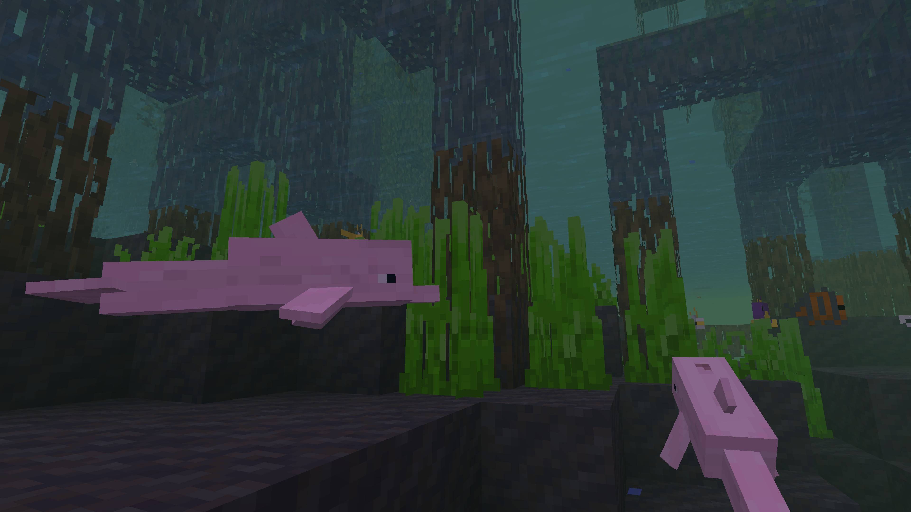 Divin' Dolphins — screenshot 1