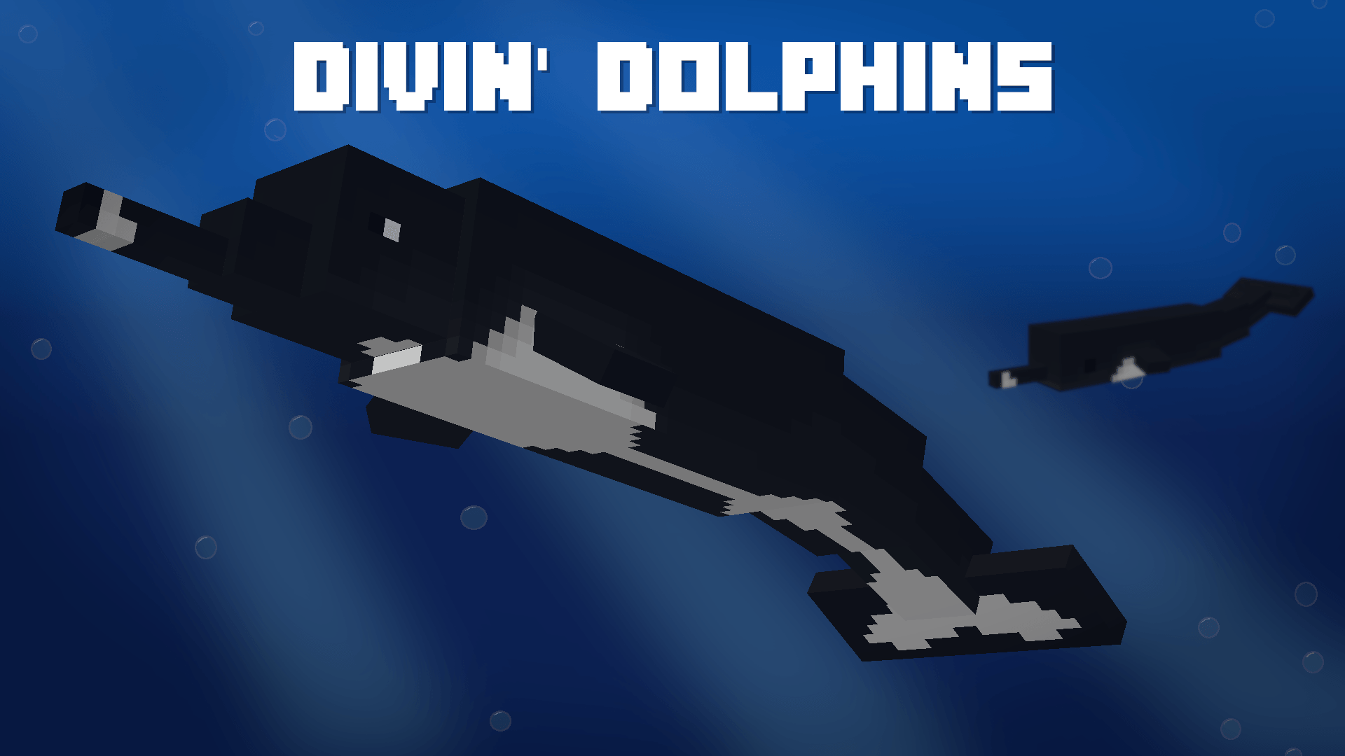Divin' Dolphins — screenshot 2