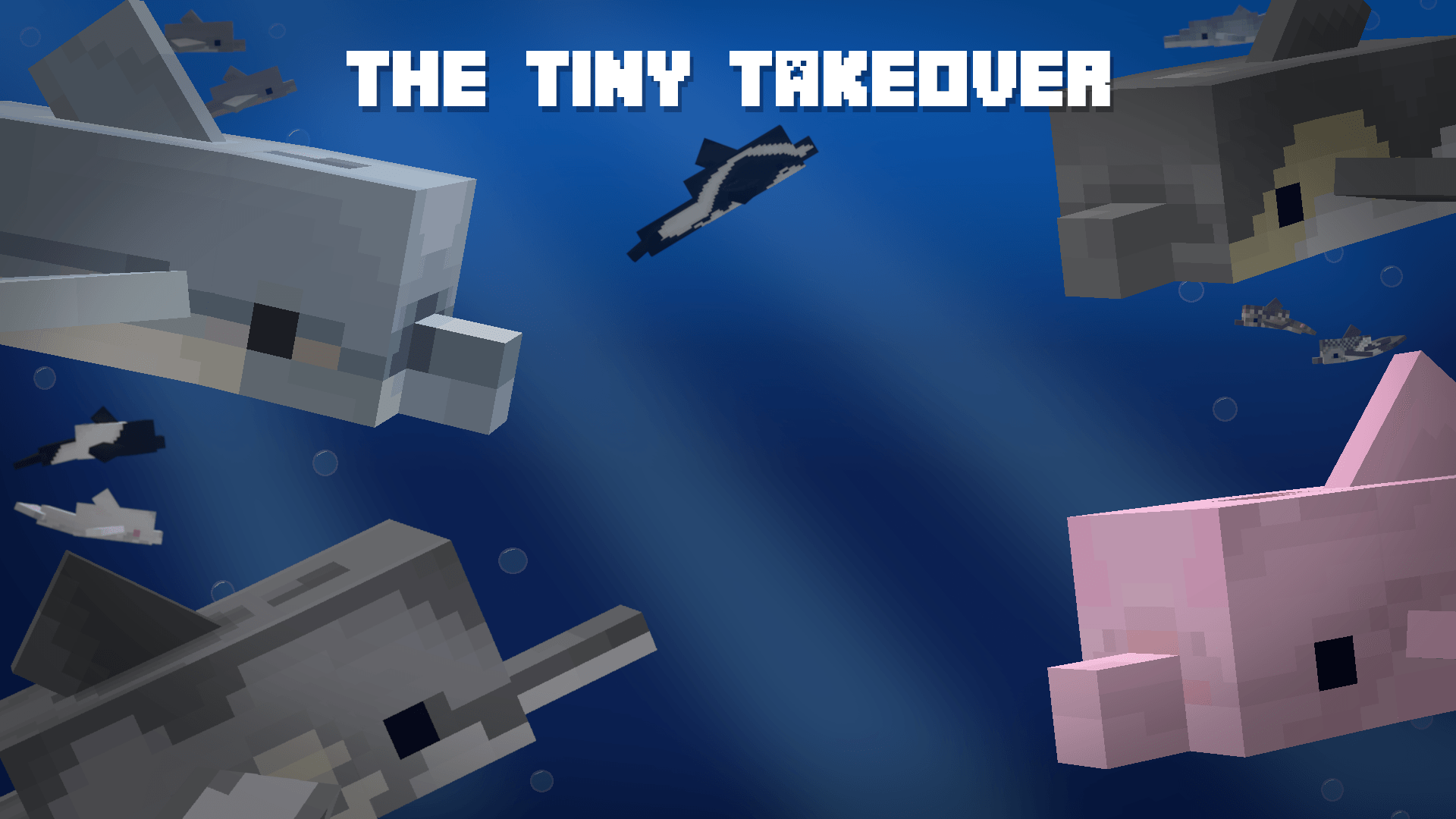 Divin' Dolphins — screenshot 4