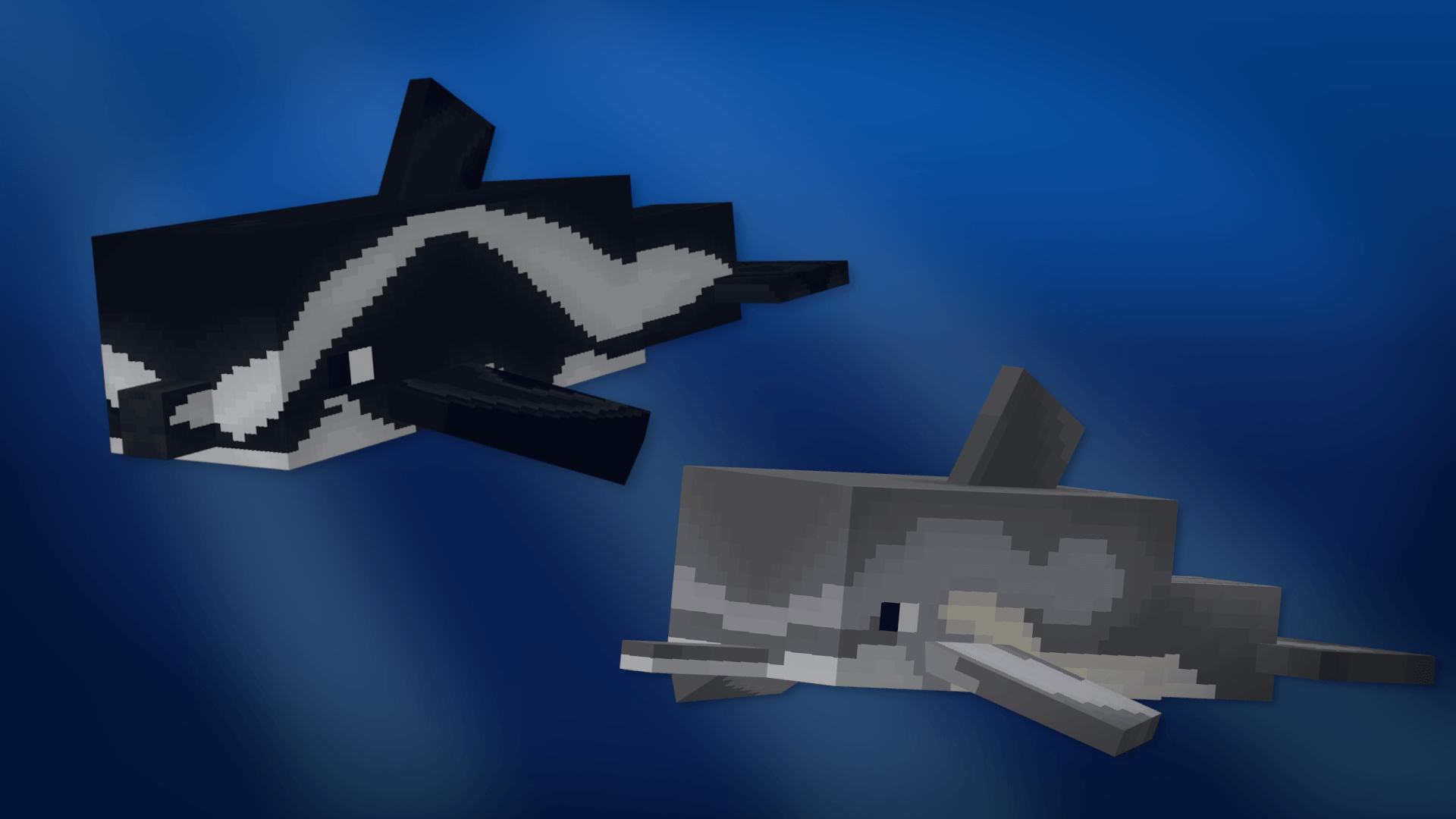 Divin' Dolphins — screenshot 7